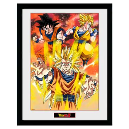 Dragon Ball Z 3 Gokus bekeretezett poszter termékfotó