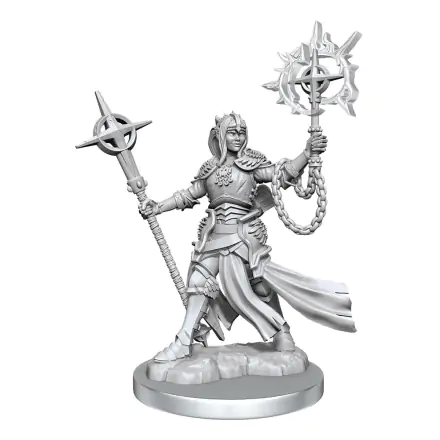 Dungeons & Dragons Frameworks Miniature Female Elf Paladin modell készlet termékfotó