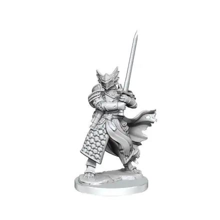 Dungeons & Dragons Frameworks Miniature modell készlet Dragonborn Paladin Male termékfotó