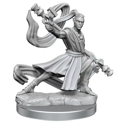Dungeons & Dragons Frameworks Miniature modell készlet Elf Monk Male termékfotó