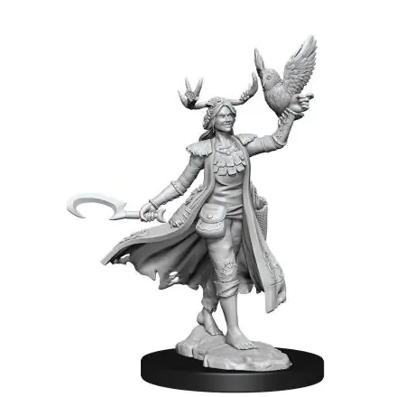Dungeons & Dragons Frameworks Miniature modell készlet Human Druid Female termékfotó