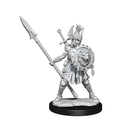 Dungeons & Dragons Frameworks Miniature modell készlet Human Fighter Female termékfotó