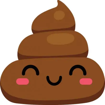 Emoji formapárna, díszpárna 37*40 cm termékfotó