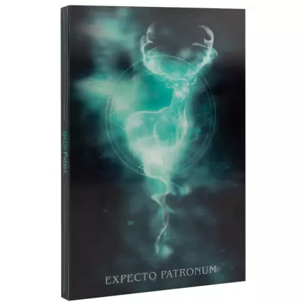 Harry Potter A5 jegyzetfüzet termékfotó