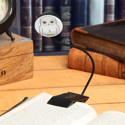 Harry Potter Book  Hedwig lámpa termékfotó