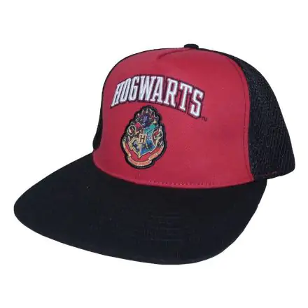 Harry Potter College Hogwarts Curved Bill sapka termékfotó