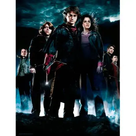 Harry Potter Group üveg poszter termékfotó