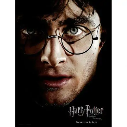 Harry Potter Harry Face üveg poszter termékfotó