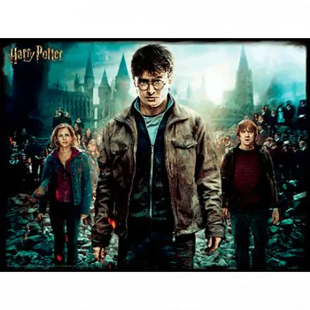 Harry Potter Harry Hermione és Ron Prime 3D puzzle 500db-os termékfotó