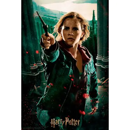 Harry Potter Hermione Prime 3D puzzle 300db-os termékfotó