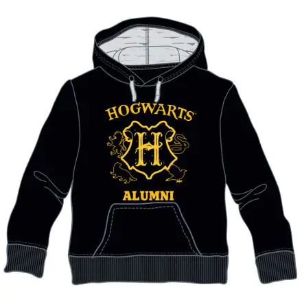 Harry Potter Hogwarts Alumni kapucnis gyerek pulóver termékfotója