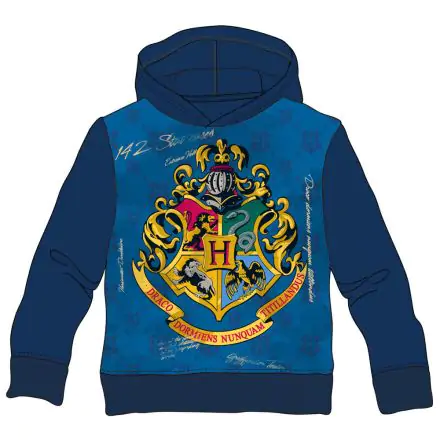 Harry Potter Hogwarts gyerek pulóver termékfotója