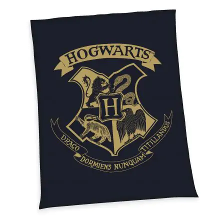 Harry Potter Hogwarts pléd 150 x 200 cm termékfotója