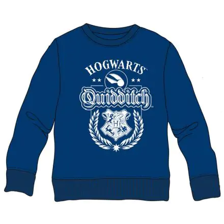Harry Potter Hogwarts Quidditch gyerek pulóver termékfotó