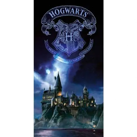 Harry Potter Hogwarts üveg poszter termékfotó