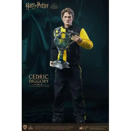 Harry Potter My Favourite Movie akciófigura 1/6 Cedric Diggory Triwizard Version 30 cm termékfotó