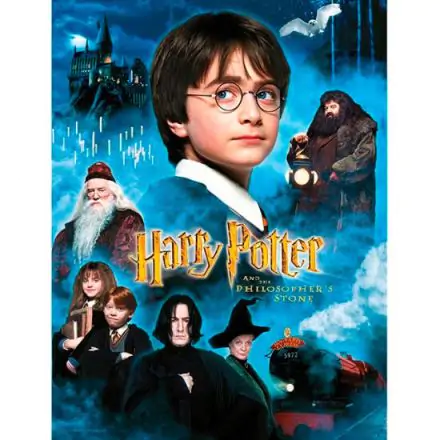 Harry Potter Philosophers Stone üveg poszter termékfotó