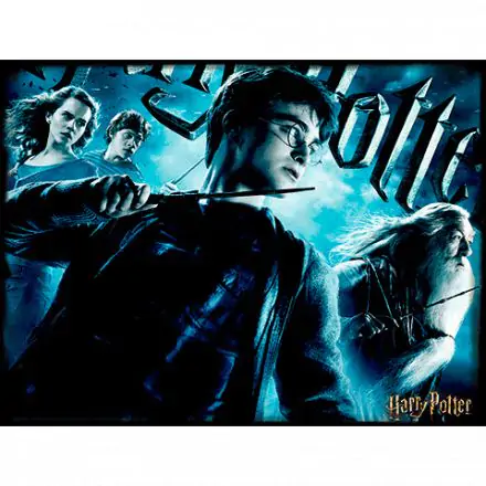 Harry Potter Prime 3D puzzle 500db-os termékfotó