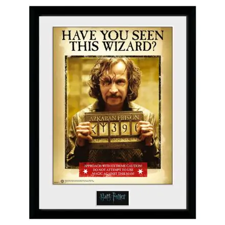 Harry Potter Sirius Azkaban bekeretezett poszter termékfotó