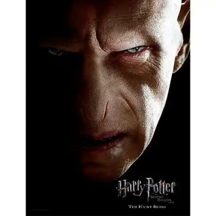Harry Potter Voldemort Face üveg poszter termékfotó