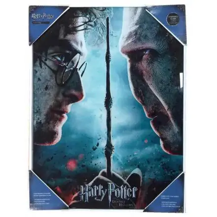 Harry Potter vs Voldemort üveg poszter termékfotó