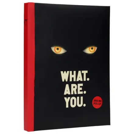 It What are you jegyzetfüzet fény effekttel termékfotó