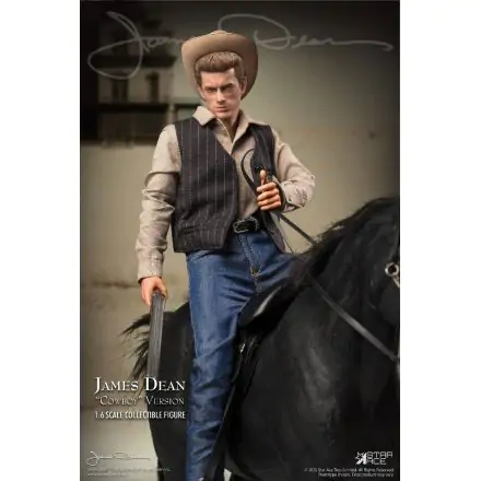 James Dean akciófigura 1/6 James Dean Cowboy Deluxe Ver. 30 cm termékfotó