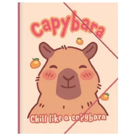 Kapibara Happy Life A/4 gumis mappa termékfotó
