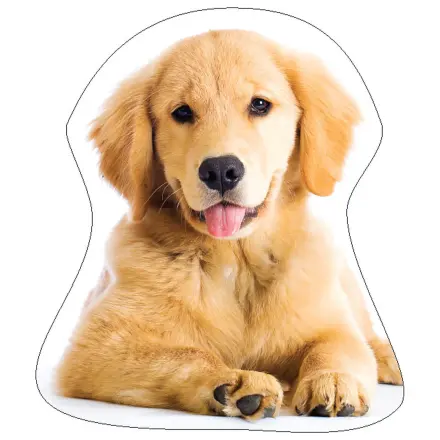Kutyás Golden Retriver formapárna, díszpárna termékfotó