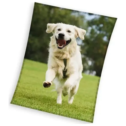 Kutyás Happytail Retriever polár takaró 150x200cm termékfotó