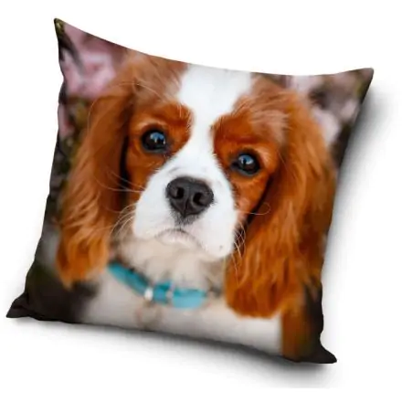 Kutyás párna, díszpárna 40*40 cm termékfotó