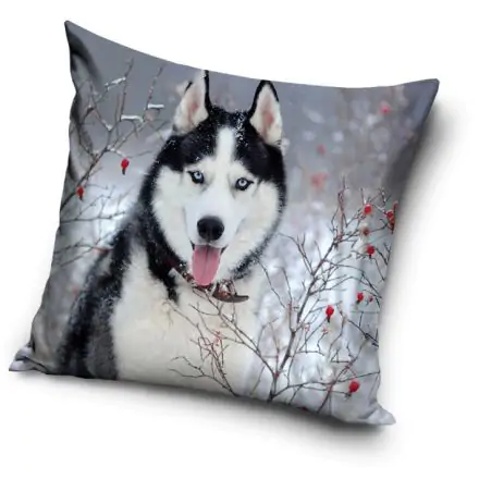 Kutyás párna, díszpárna 40*40 cm termékfotó