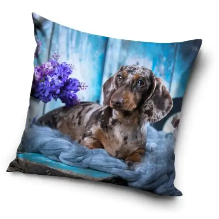 Kutyás párnahuzat 40*40 cm termékfotó