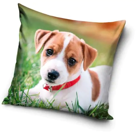 Kutyás párnahuzat 40*40 cm termékfotó