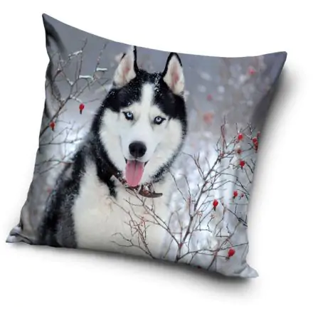 Kutyás párnahuzat 40*40 cm termékfotó