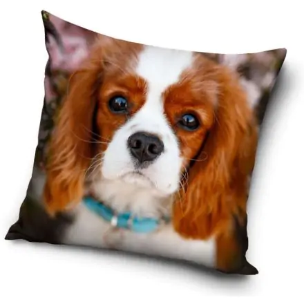 Kutyás párnahuzat 40*40 cm termékfotó