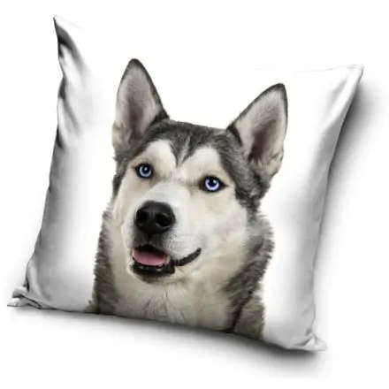 Kutyás párnahuzat 40*40 cm termékfotó