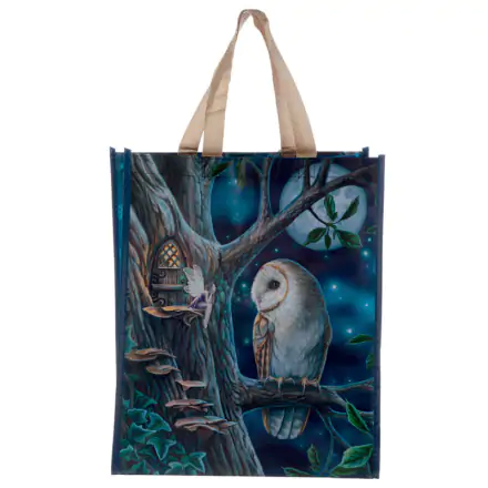 Lisa Parker Owl and Fairy bevásárlótáska termékfotó