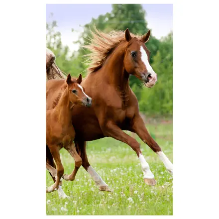 Lovas Career kéztörlő, arctörlő, törölköző termékfotó