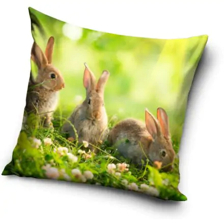 Nyuszi párna, díszpárna 40*40 cm termékfotó