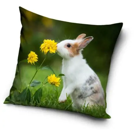 Nyuszi párnahuzat 40*40 cm termékfotó