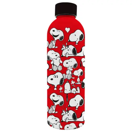Peanuts Snoopy rozsdamentes acél soft touch vizespalack kulacs 800ml termékfotó