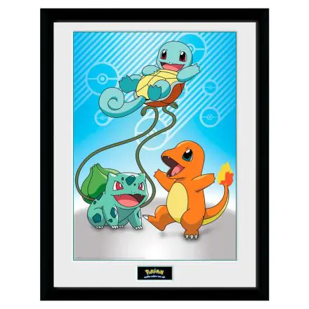 Pokemon Kanto Starter bekeretezett poszter termékfotó