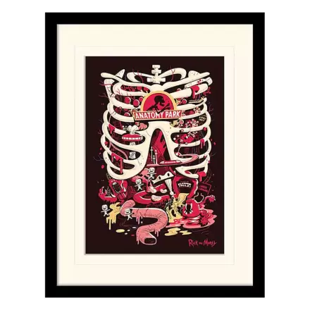 Rick and Morty Collector Print Anatomy Park (white background) keretezett poszter termékfotó