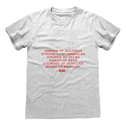 Shazam! Fury of the Gods Vows póló termékfotó