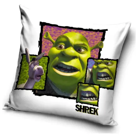 Shrek Fury párnahuzat termékfotó