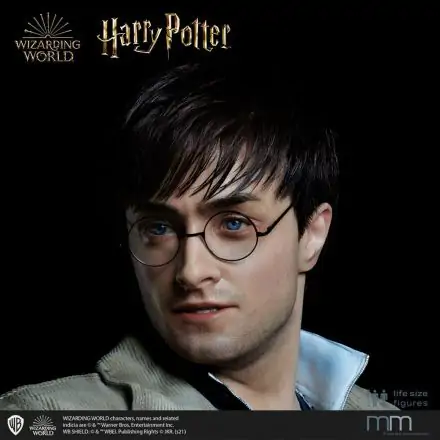 Silicone head for the Harry Potter termékfotó