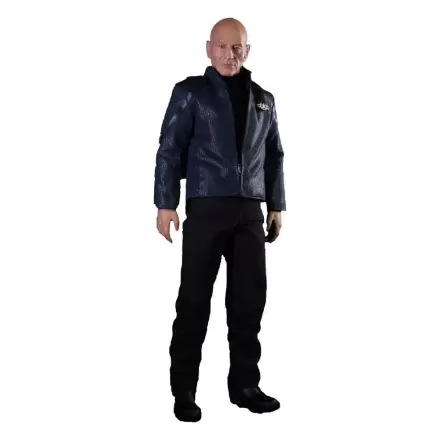 Star Trek: Picard Action Figure 1/6 Jean-Luc Picard 28 cm termékfotója