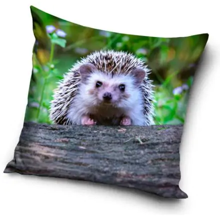 Sün párna, díszpárna 40*40 cm termékfotó