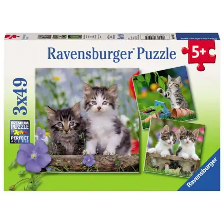 Tabby kittens puzzle 3x49db-os termékfotó